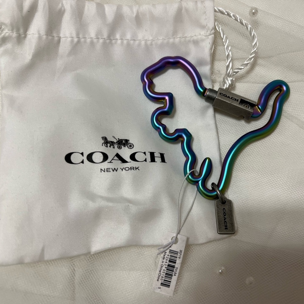 Coach t-Rex carabiner oil slick